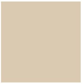 Immagine di COPRIMACCHIA TNT 100X100CM CAPPUCCINO 100PZ